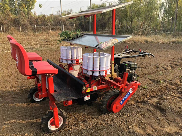 What are the maintenance and characteristics of vegetable transplanters?